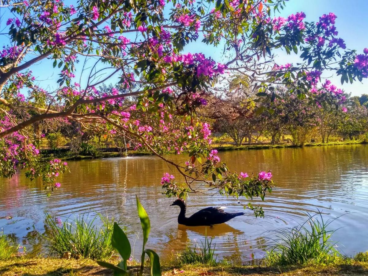 Pousada Chales Do Retiro - Serra Do Cipo Mg Jaboticatubas Dış mekan fotoğraf